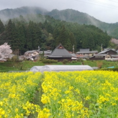 【自分スタイルで】京都を満喫した後は温泉でゆったり♪1泊片泊まりプラン【朝食付】